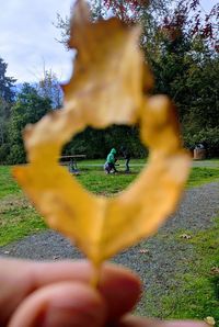 Person in a field of a horse