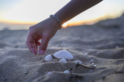 Close-up of hand holding seashell on sand at beach against sky during sunset