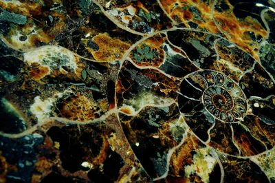 Full frame shot of a rock