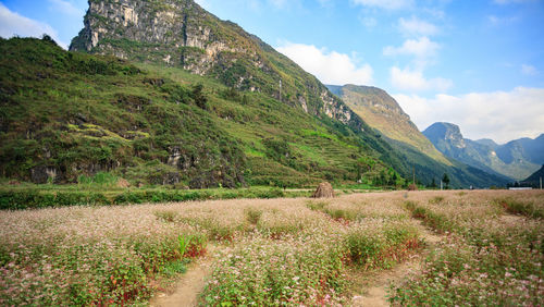 Scenic view of mountains against sky