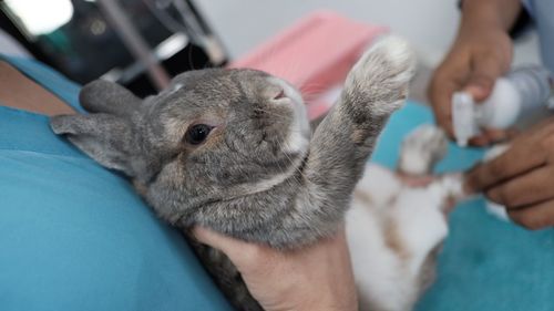 Close-up of hand holding hands