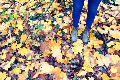 Low section of person standing on yellow autumn leaves