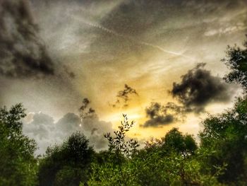 Low angle view of trees against dramatic sky