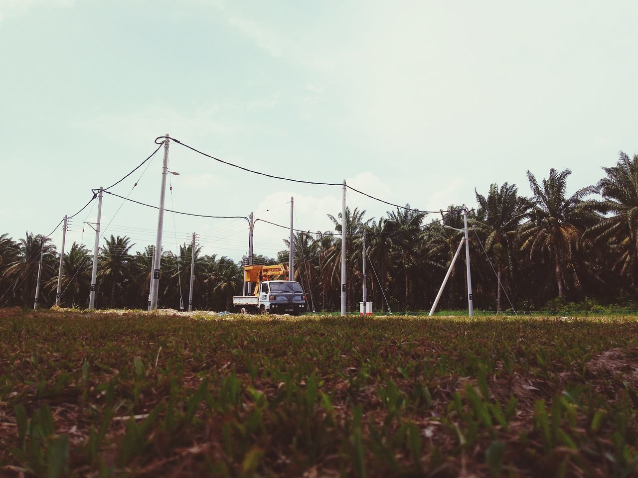 HORSE CART ON FIELD