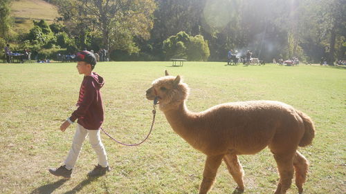 Rear view of girl looking away on field