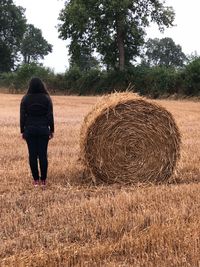 Rear view of man with hay bales on field