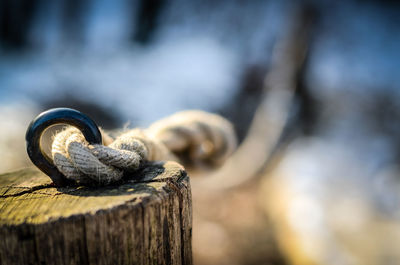 Close-up of rope tied on mooring ring