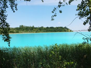 Scenic view of lake against clear blue sky