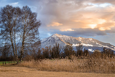 Scenic view of field against sky with rigi 