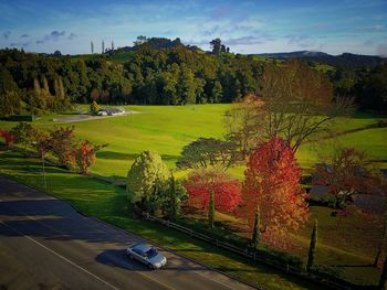 Scenic view of autumn trees against sky