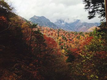 Scenic view of mountains