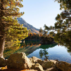 Scenic view of lake by trees against clear sky