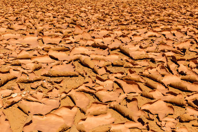 Full frame shot of cracked land