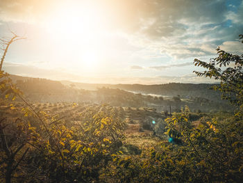 Scenic view of field against sky during sunset