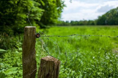 Barbed wire on wooden fence against field