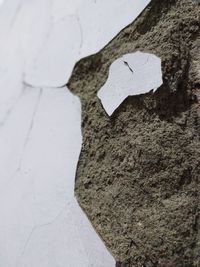 Close-up of heart shape on rock