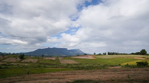 Scenic view of landscape against sky