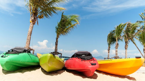 View of palm trees on beach