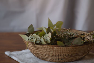 Close-up of plant in basket on table