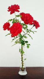 Close-up of red flowers in vase on table