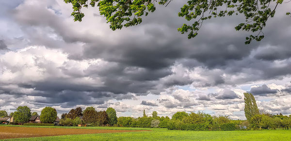 Scenic view of field against sky