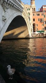 Arch bridge over river