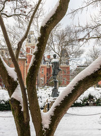 Snow covered plants by trees during winter