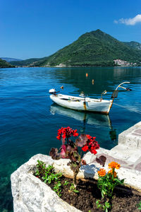 Scenic view of sea against blue sky