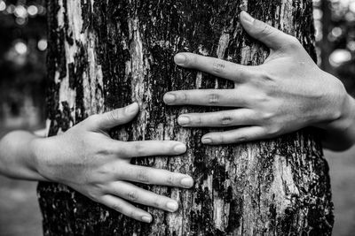 Close-up of hands embracing tree trunk