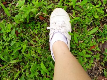 Low section of woman standing on grass