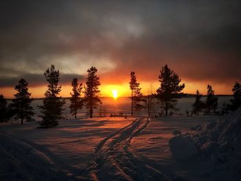 Silhouette trees on snow field against sky during sunset