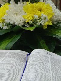 Close-up of white flower bouquet