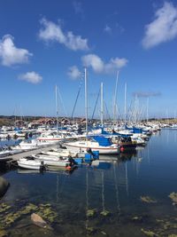 Sailboats moored on harbor against sky