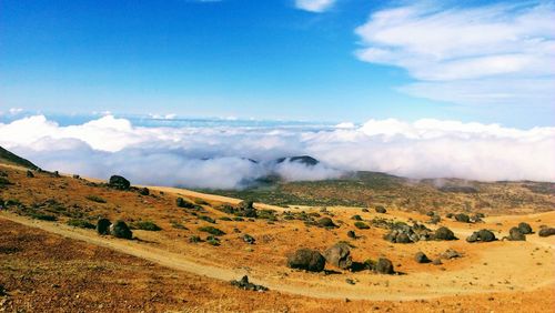 Scenic view of landscape against sky