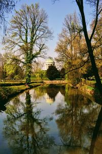 Reflection of trees in water