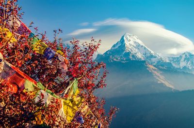 The picturesque sight of mountains capped with snow set against the sky.