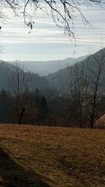 Bare trees on landscape against sky