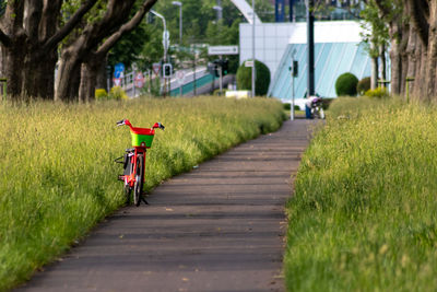 Bicycle parked on footpath amidst plants