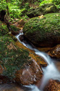 Stream flowing through rocks in forest