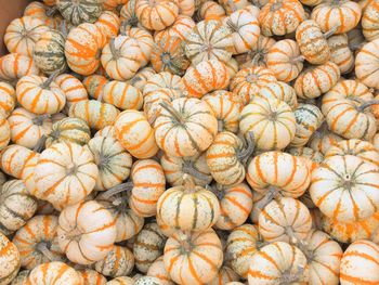 Full frame shot of pumpkins