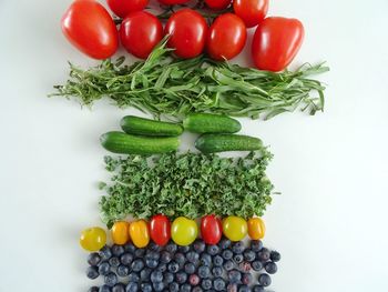 Tomatoes and vegetables on plate against white background