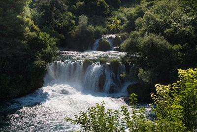 Scenic view of waterfall in forest