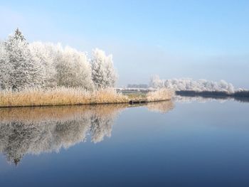 Reflection of trees in lake against clear sky