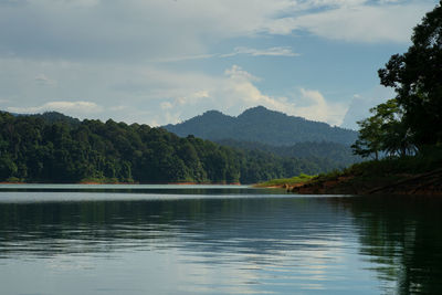 Kenyir lake water with tropical forest trees. beautiful tranquill idylic view.