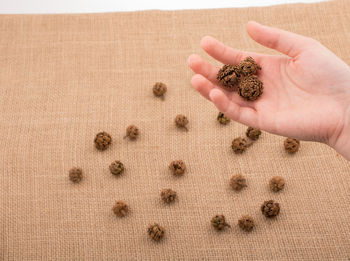 Cropped hand of woman holding dry flowers over burlap