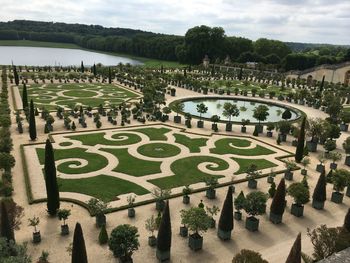 High angle view of garden