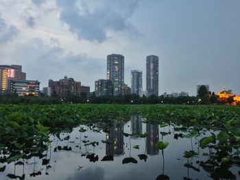 View of buildings in city