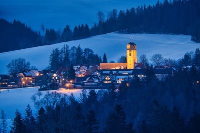 Illuminated buildings by trees against sky during winter