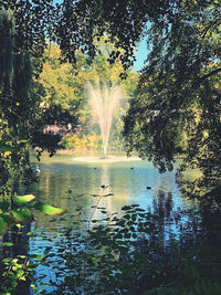 Scenic view of lake in forest