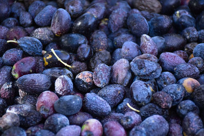 Full frame shot of blackberries